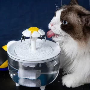 Fonte de água para animais de estimação com circulação automática